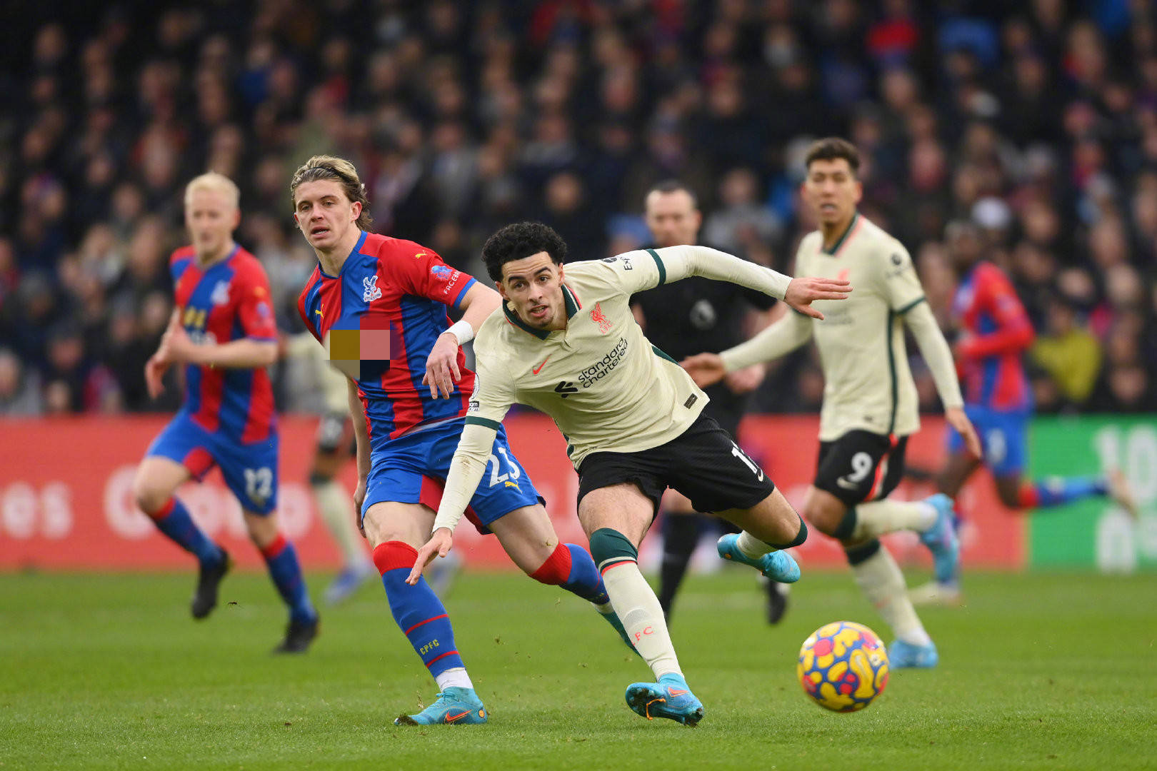 他的团队无 他的团队无